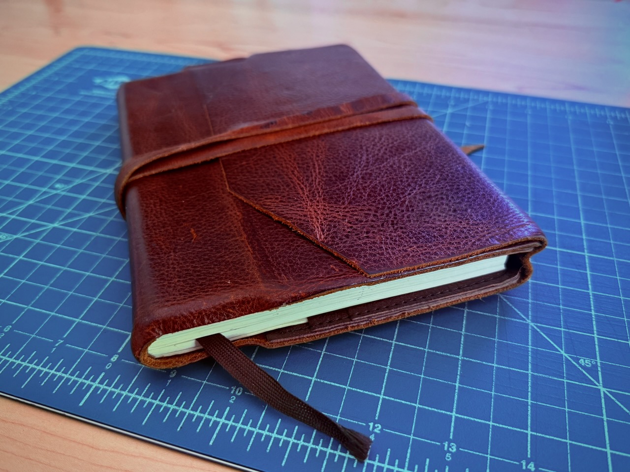 My sketchbook. Photo by Derek Cutting.
